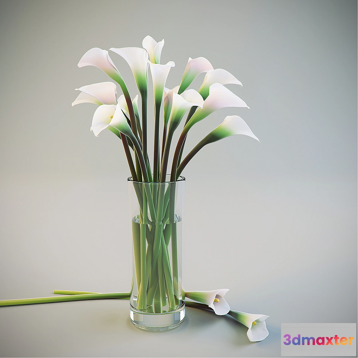 1417198 - Calla Lilies in a vase 3D Max