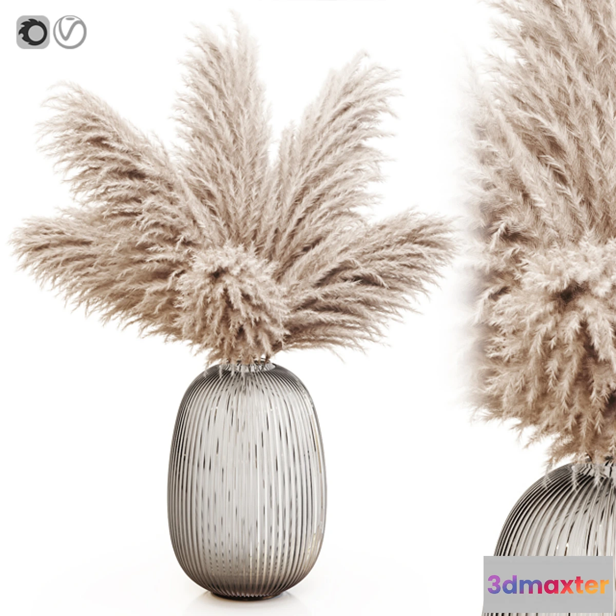 1417366 - Pampas grass 8 3D Max