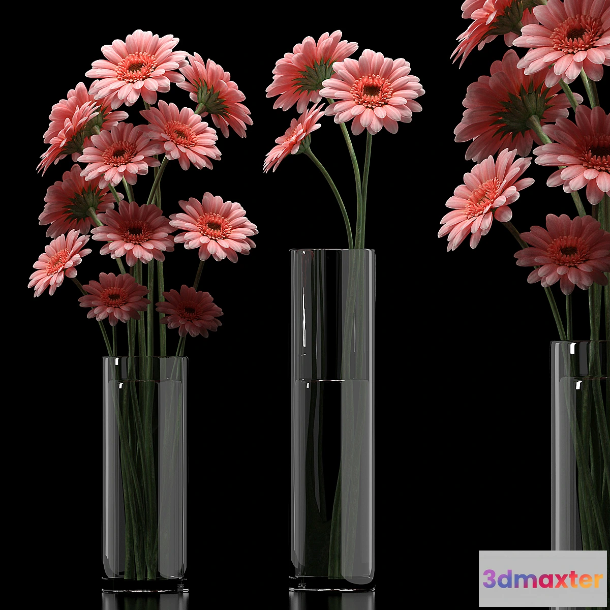 1417538 - GERBERA 5 3D Max