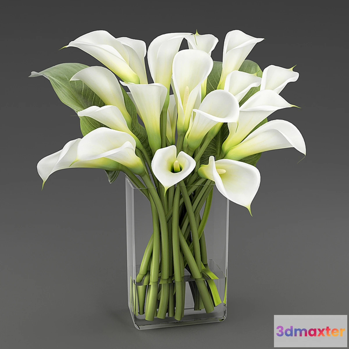 1422894 - Calla 1 3D Max