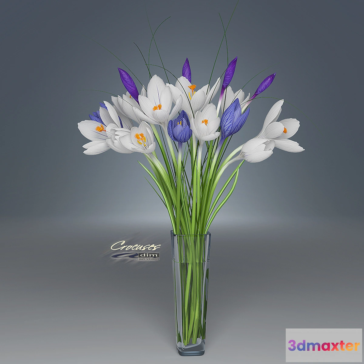 1423332 - Crocus 3D Max