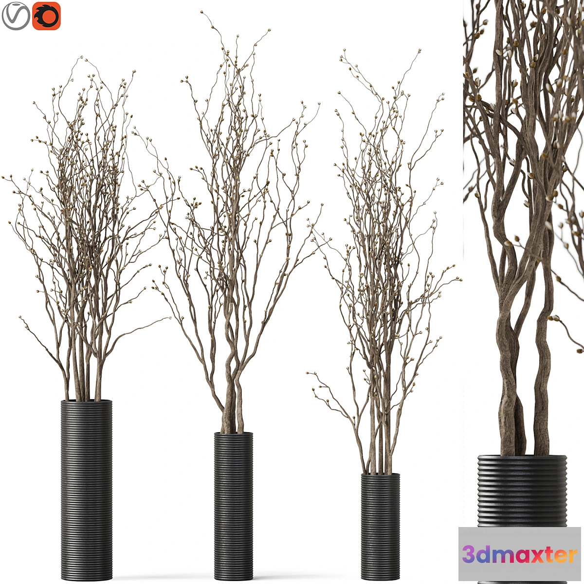 1423488 - decorative branch 07 3D Max