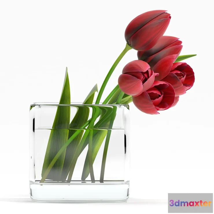 1423982 - TULIP4 3D Max