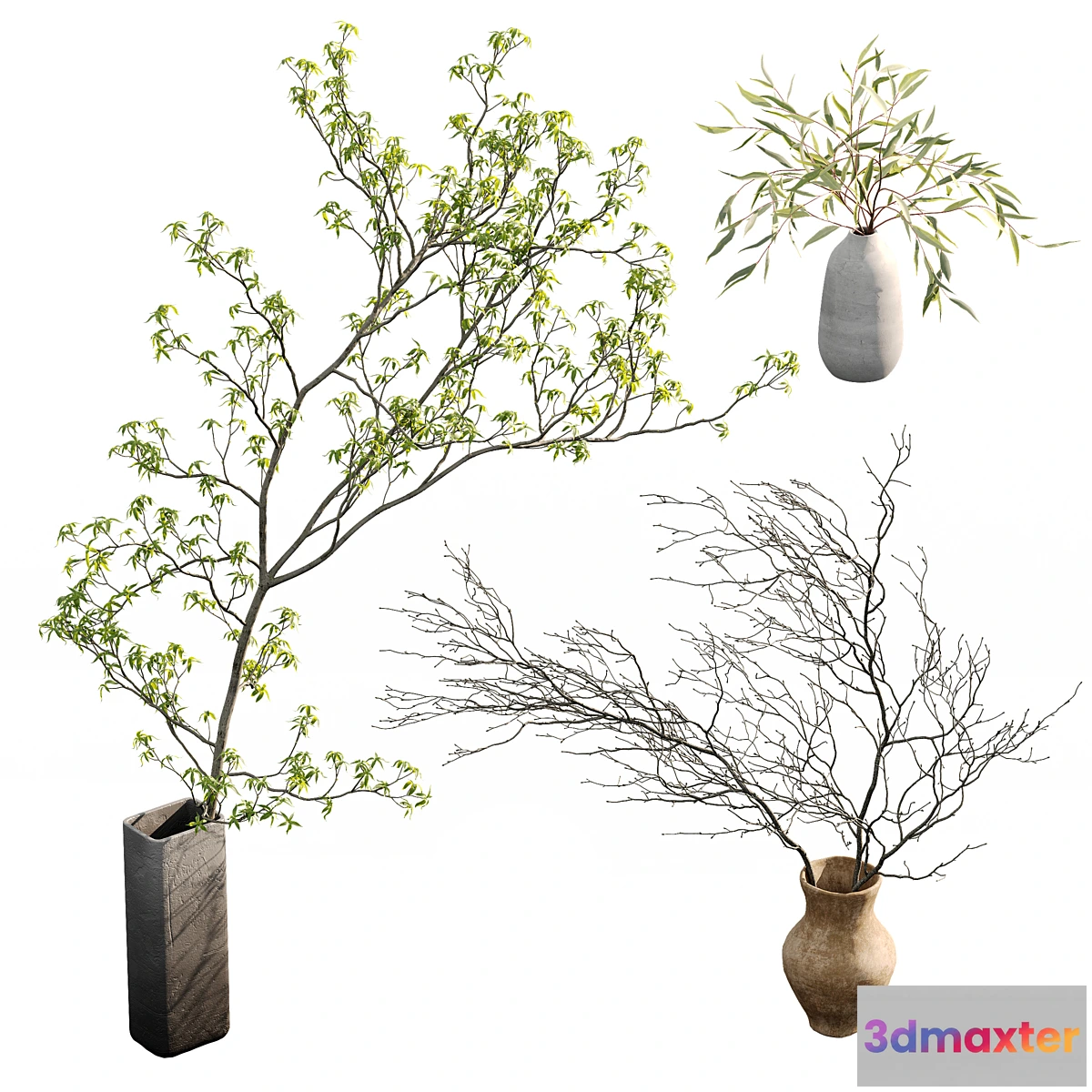 1424686 - Branches in vases 3D Max