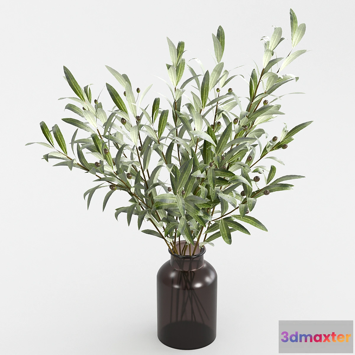 1425446 - Olive branches in a vase 3D Max
