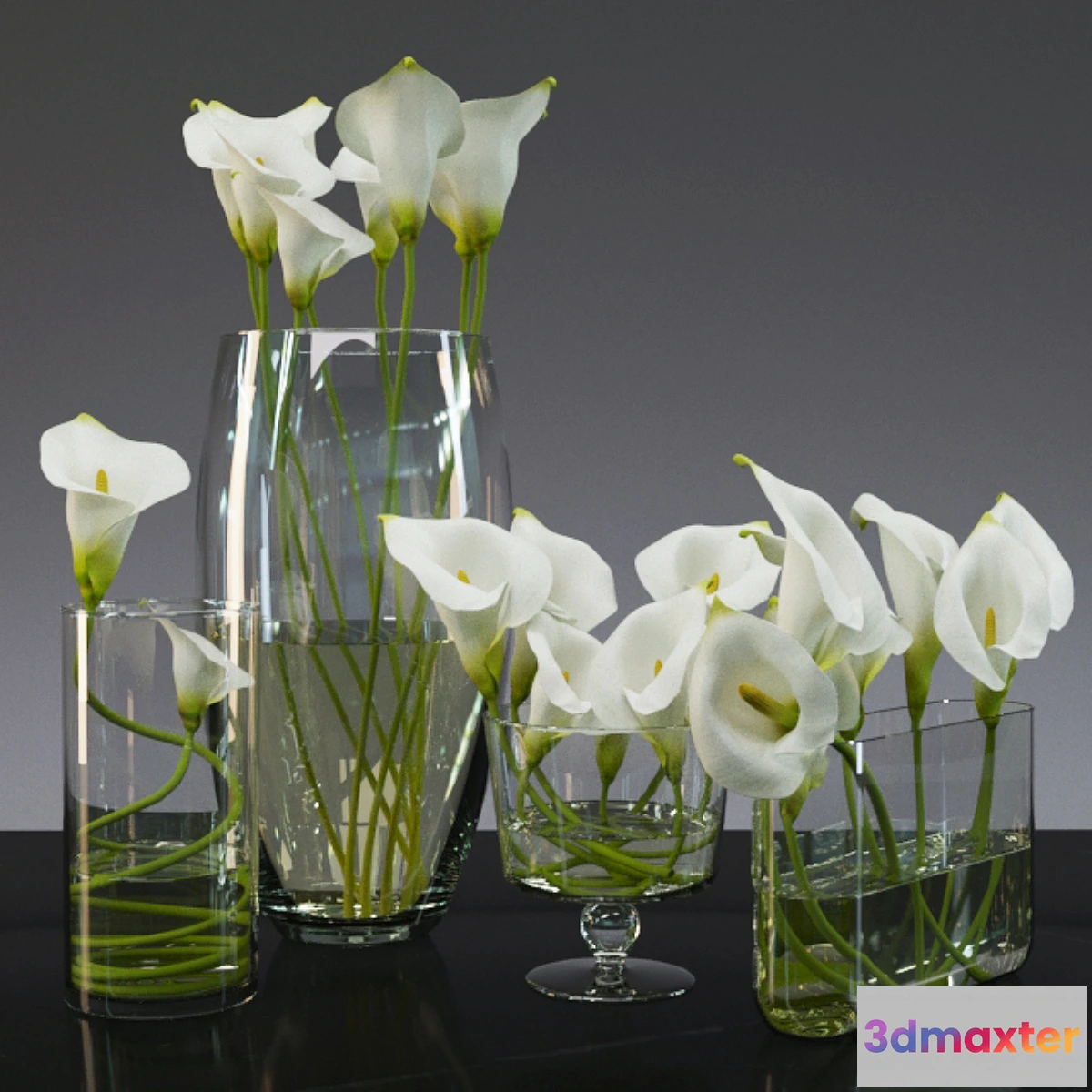 1428850 - Calla lily 3D Max