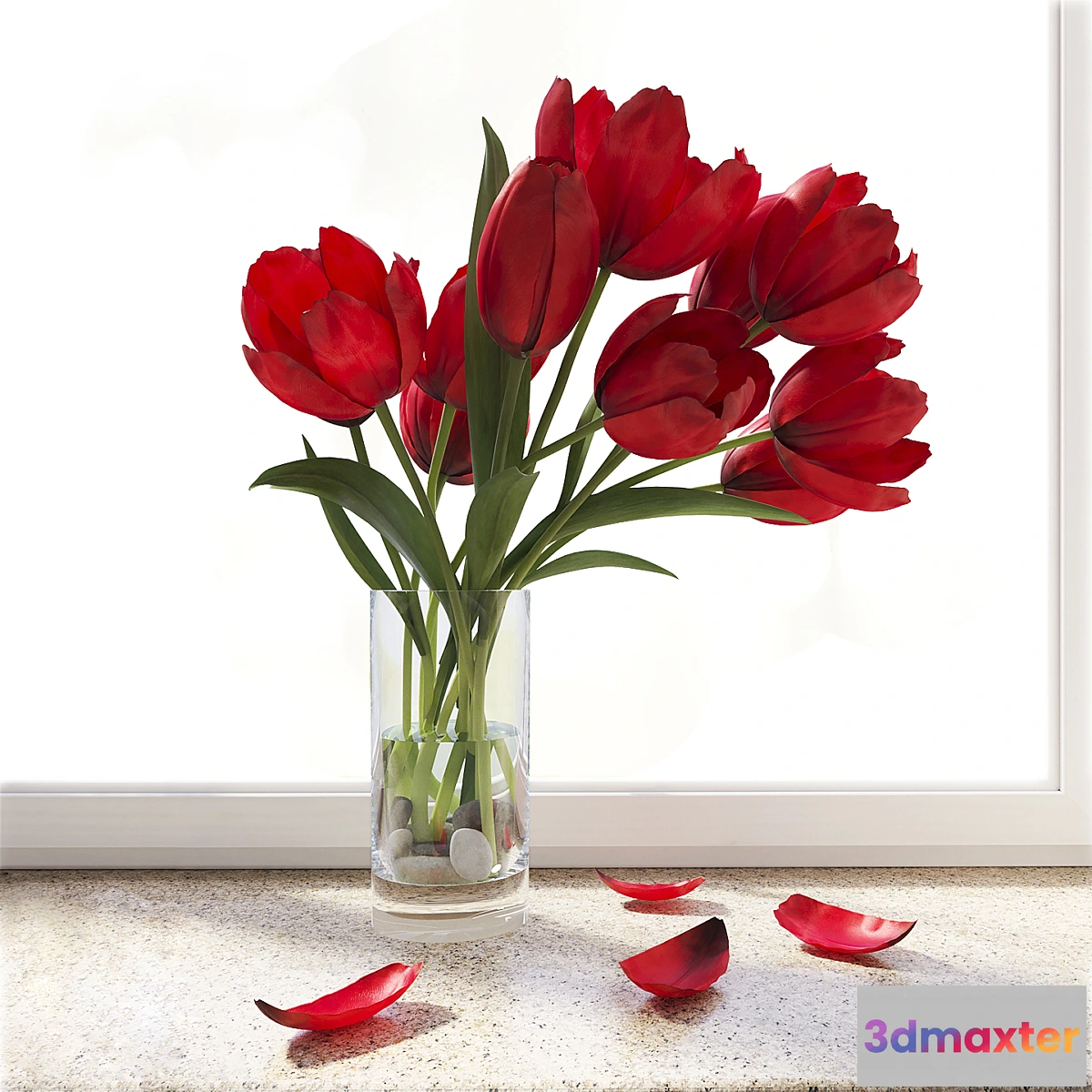 1430918 - Tulips 3D Max