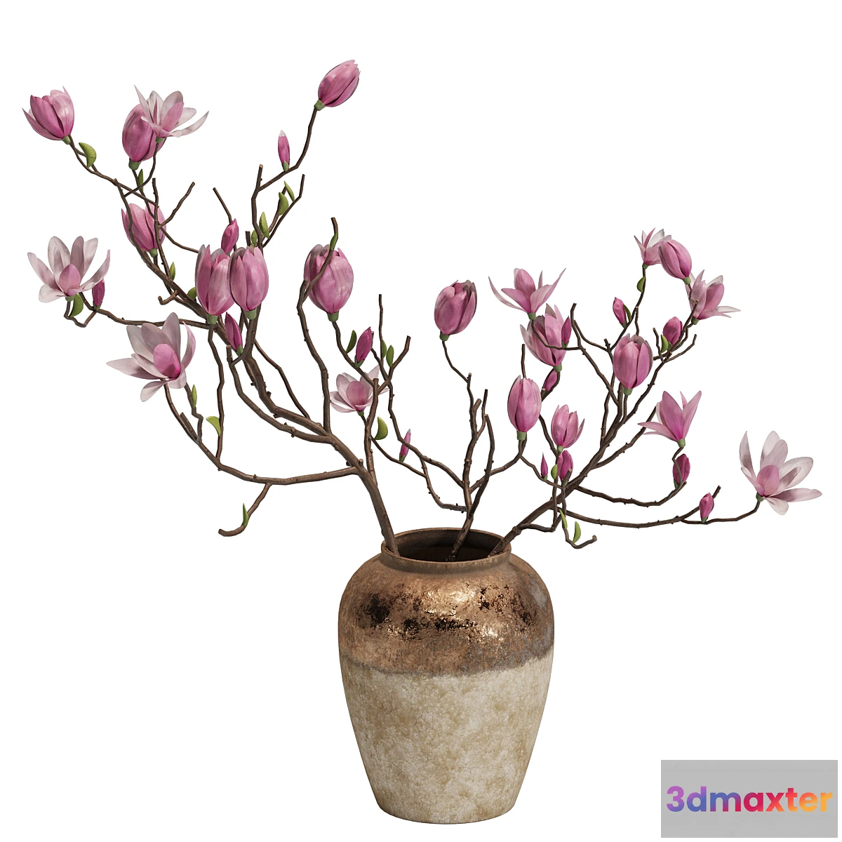 1433876 - Magnolia Shrubs In Clay Vase 04 3D Max
