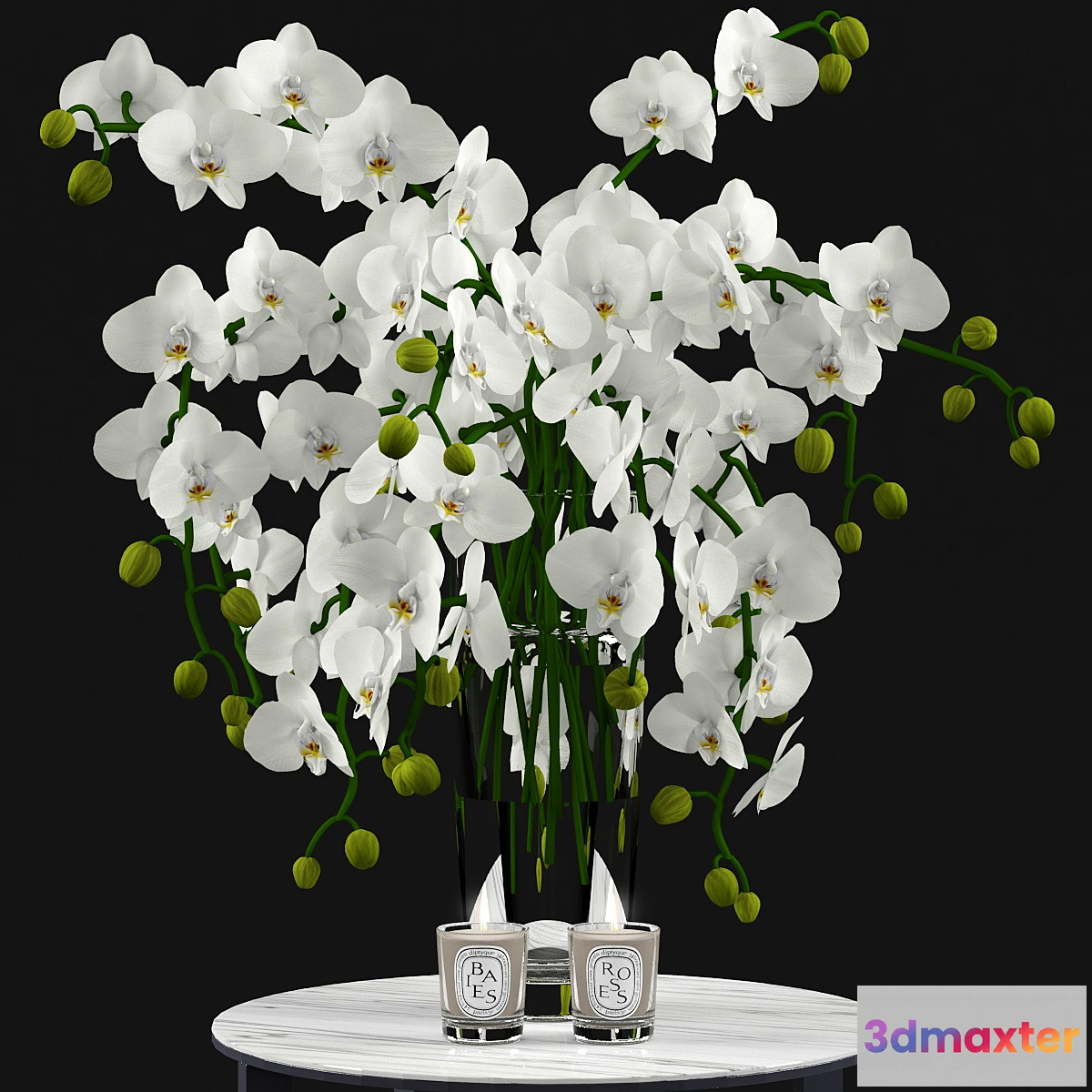 1434396 - White Orchids and Candles 3D Max