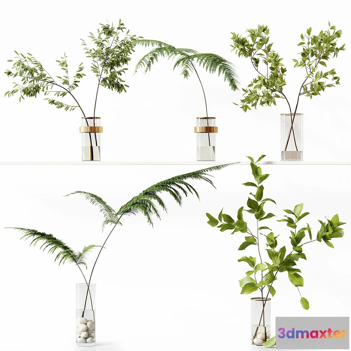 1434662 - Collection Indoor Plants 058 3D Max