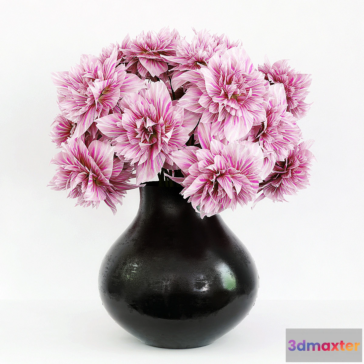 1435448 - Dahlia 3D Max