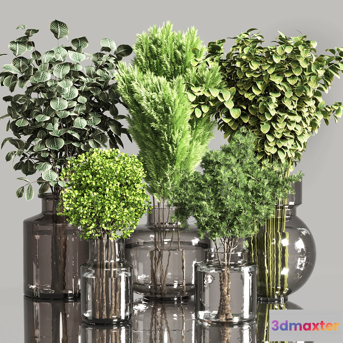 1439764 - Collection Plants Bouquet Indoor 01 3D Max