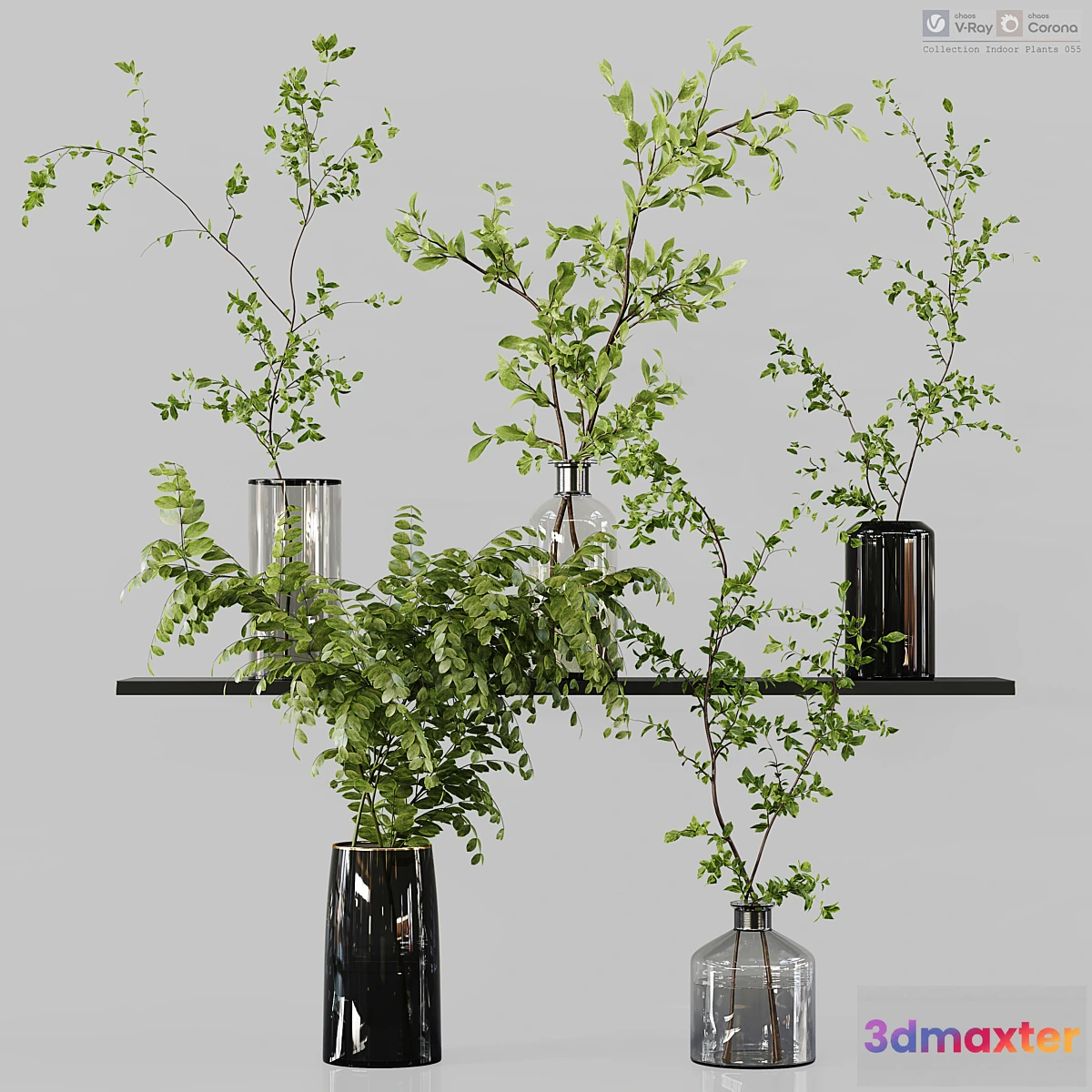 1441460 - Collection Indoor Plants 055 3D Max
