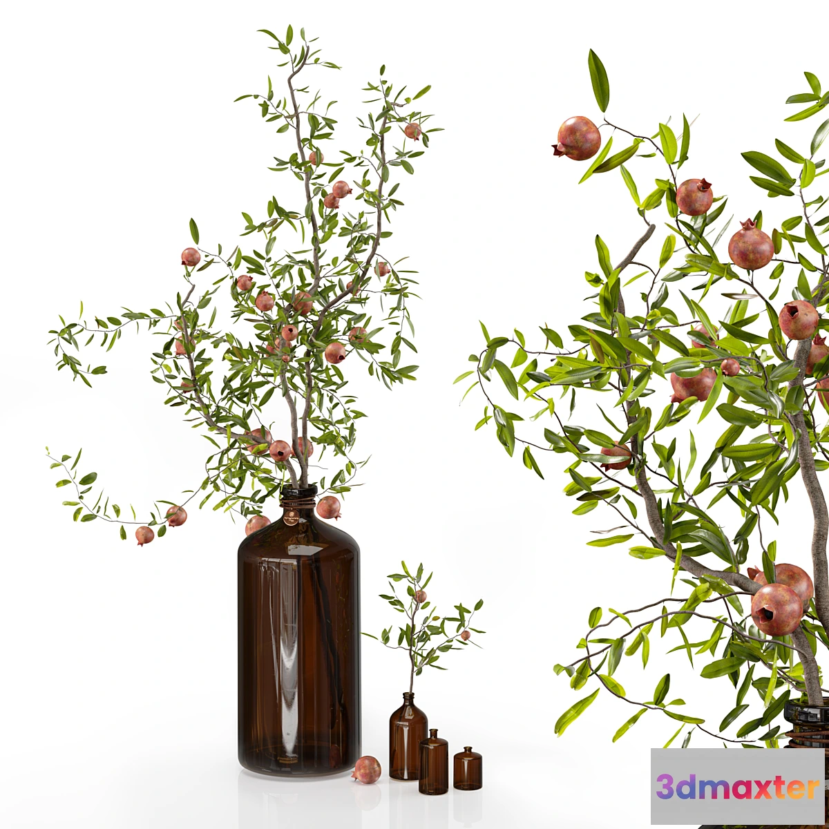1445208 - Pomegranate branches in pharmacy bottles 3D Max