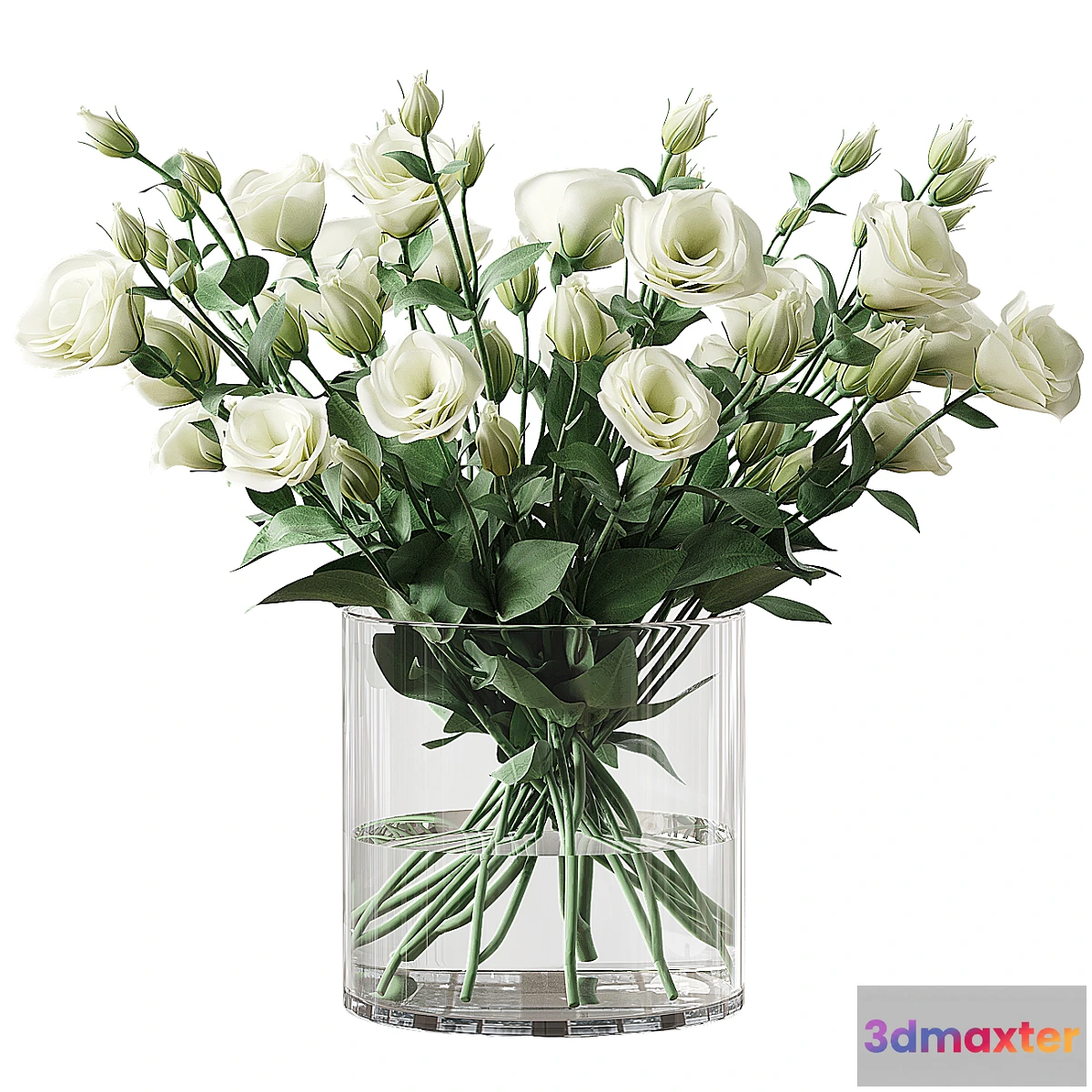 1448188 - Eustoma 2 3D Max