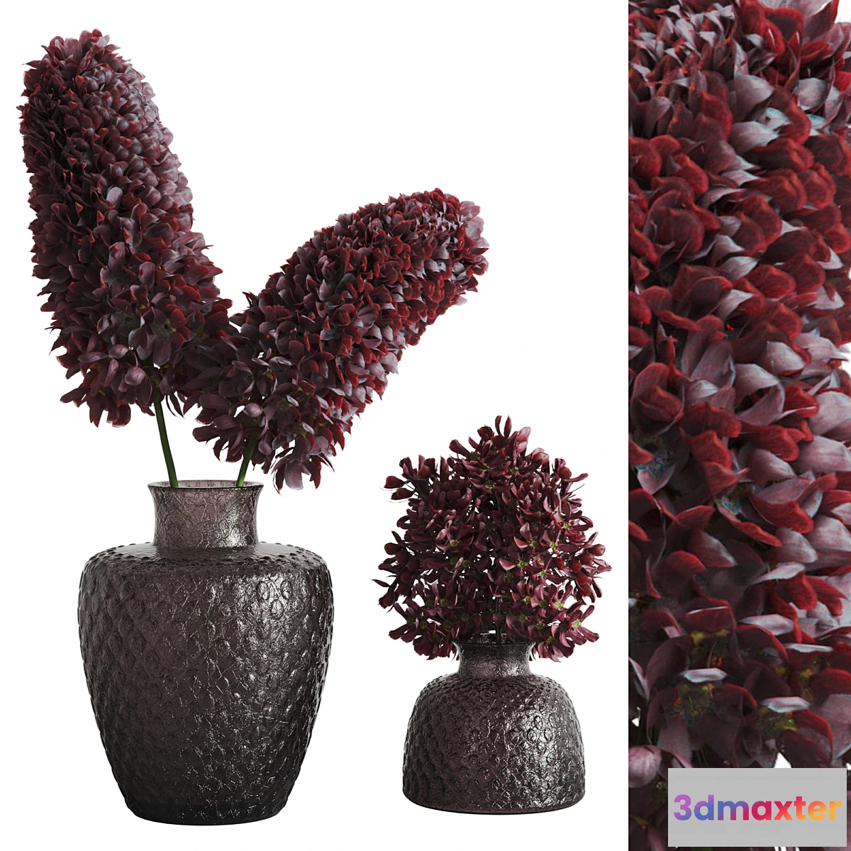 1448542 - decorative plants007 3D Max