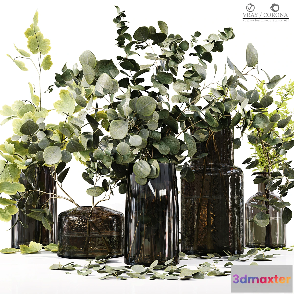 1450660 - Collection Indoor Plants 010 3D Max
