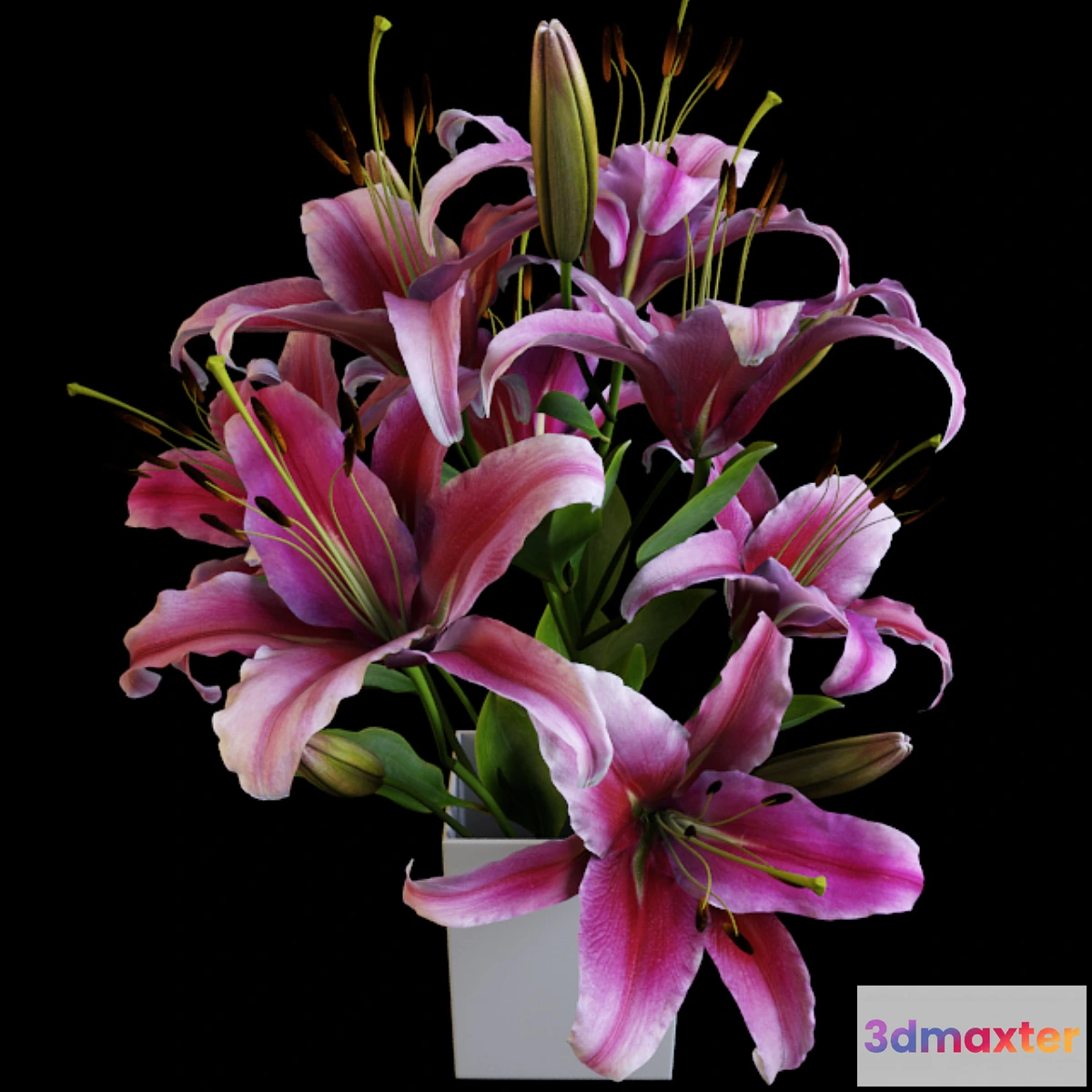 1450840 - Lily bouquet 3D Max