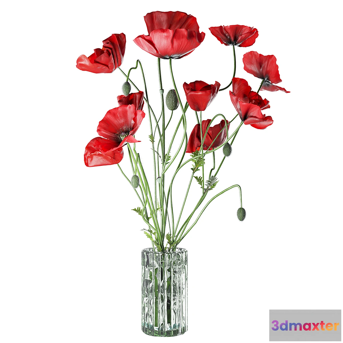 1451436 - Field Poppies in a Vase 3D Max