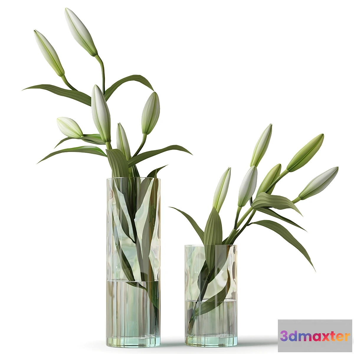 1457530 - Lily in a glass vase 3D Max