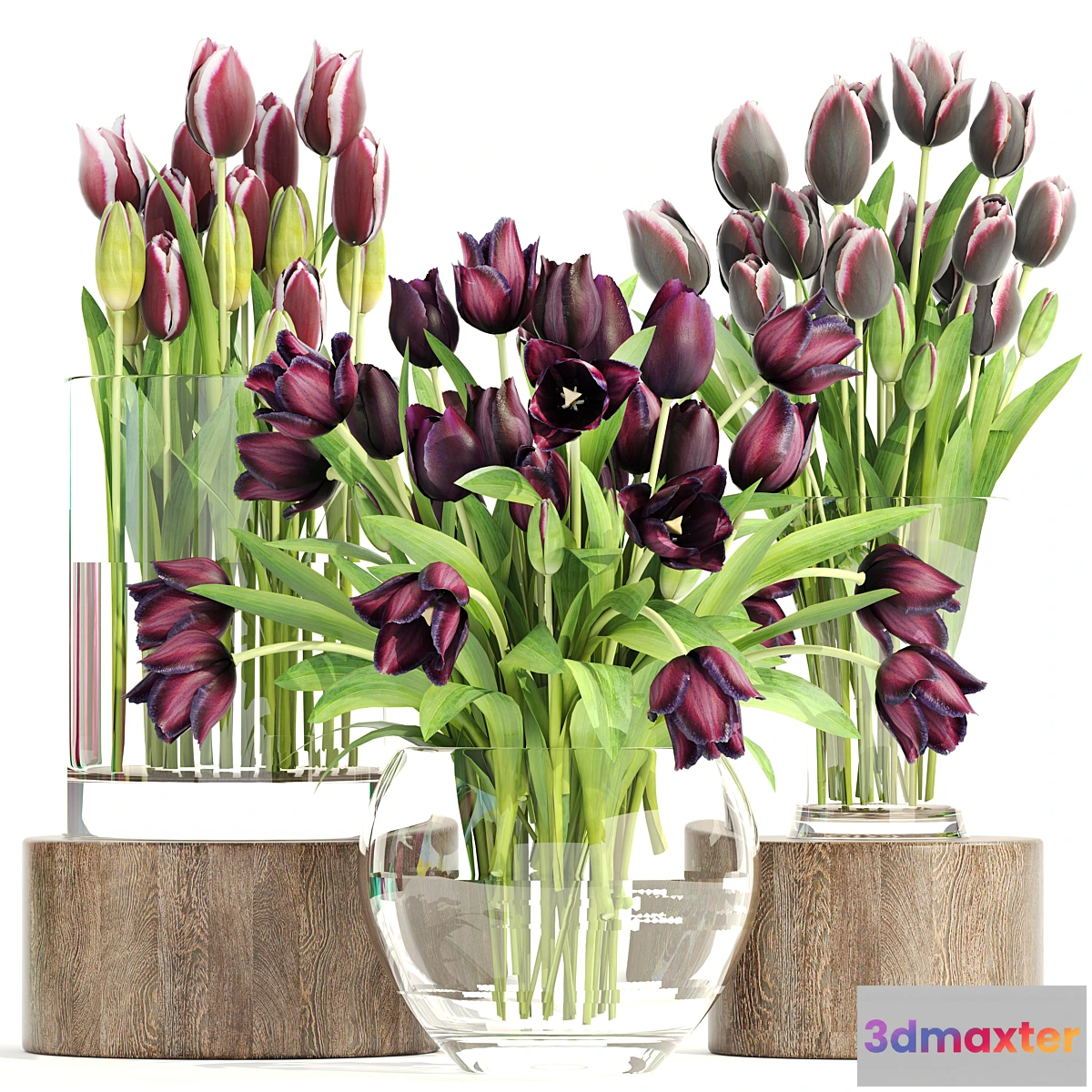 1463560 - Collection of flowers 1. Tulips flower vase spring flowers decor 3D Max