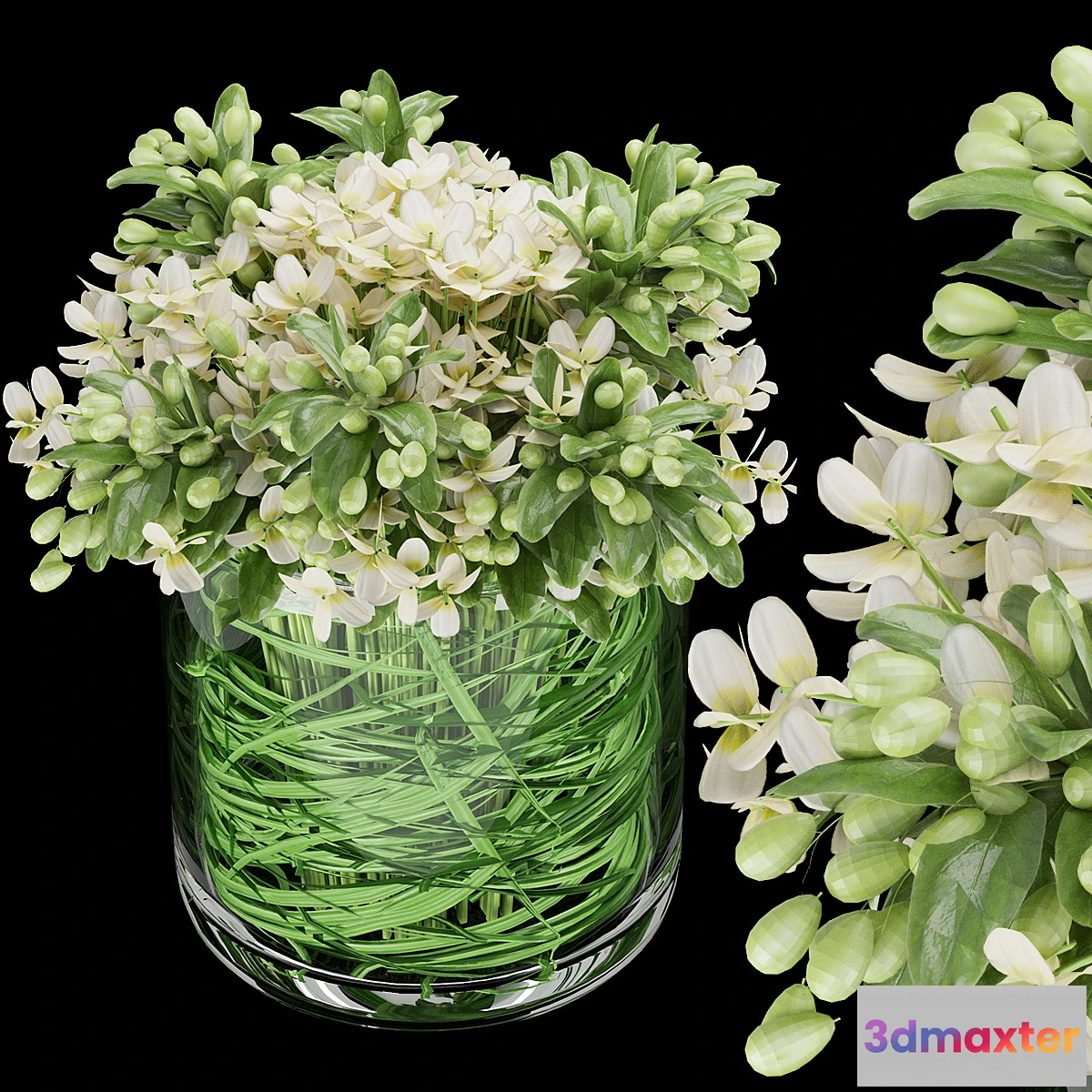 1464342 - Collection plant vol 123 3D Max