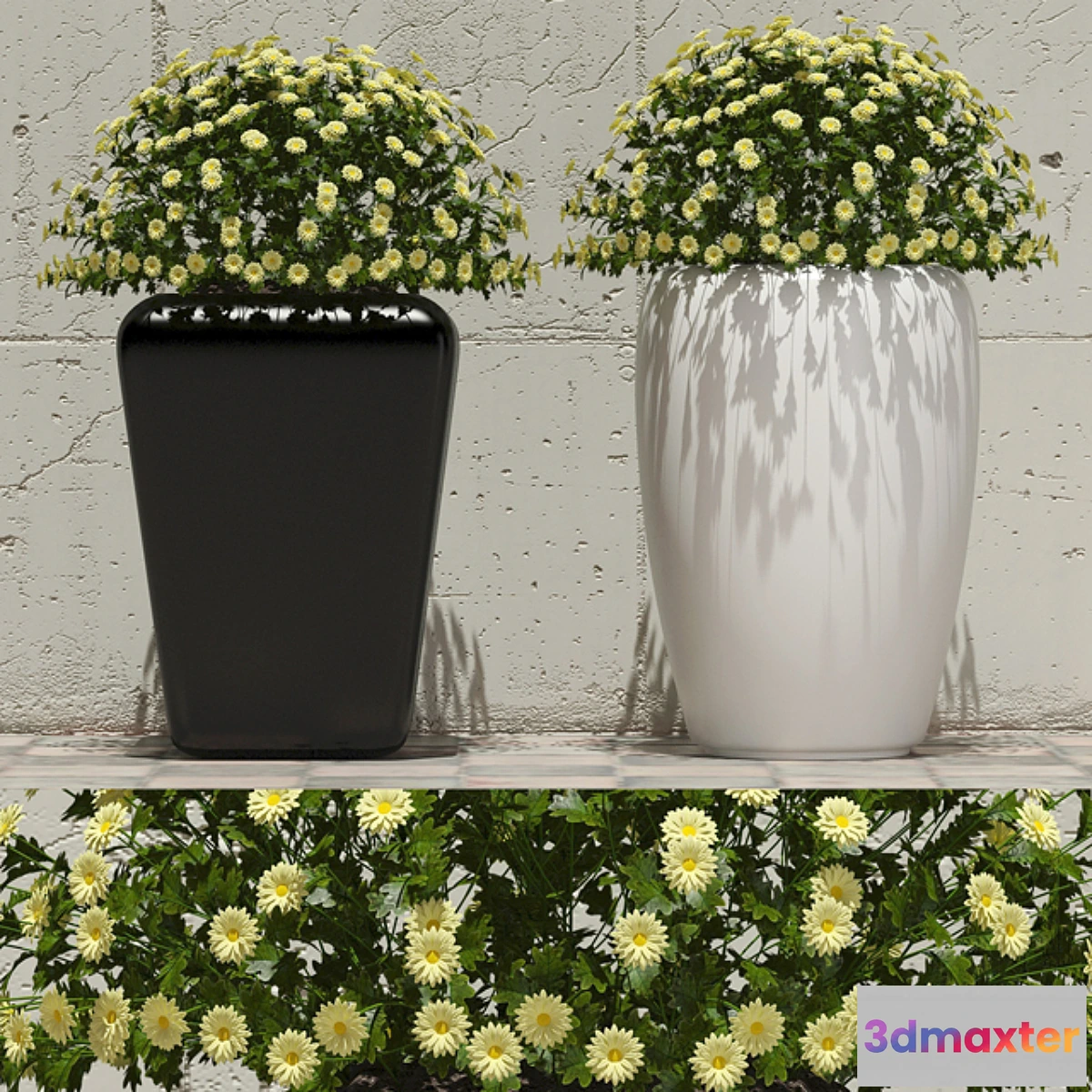 1464970 - Flowers in pots 1 3D Max
