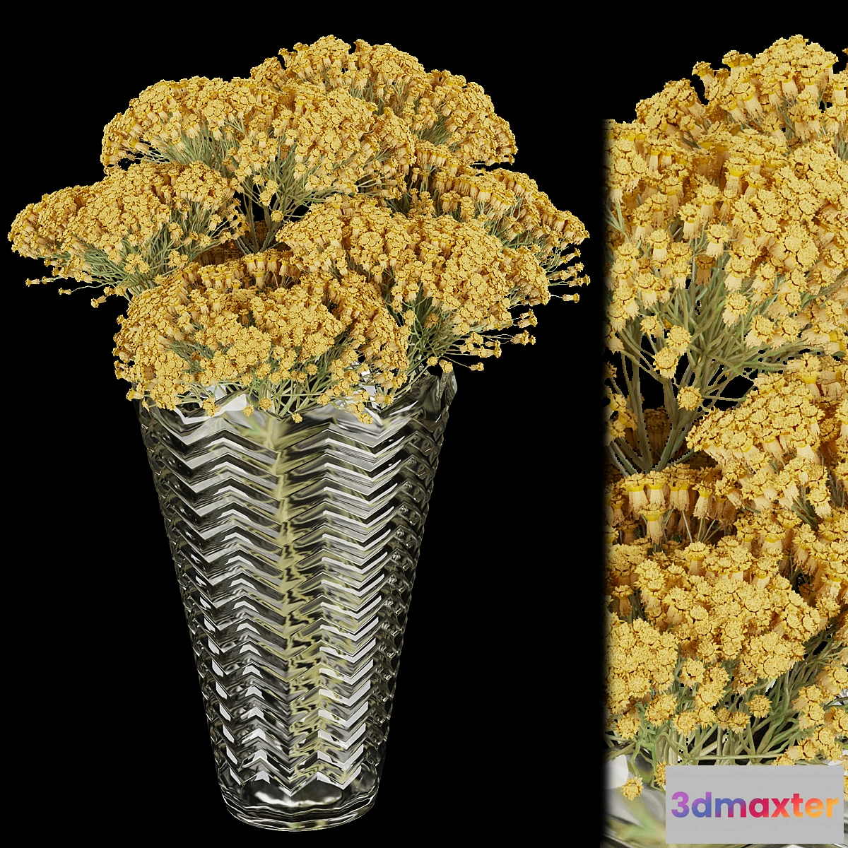 1467466 - Collection plant vol 160 3D Max