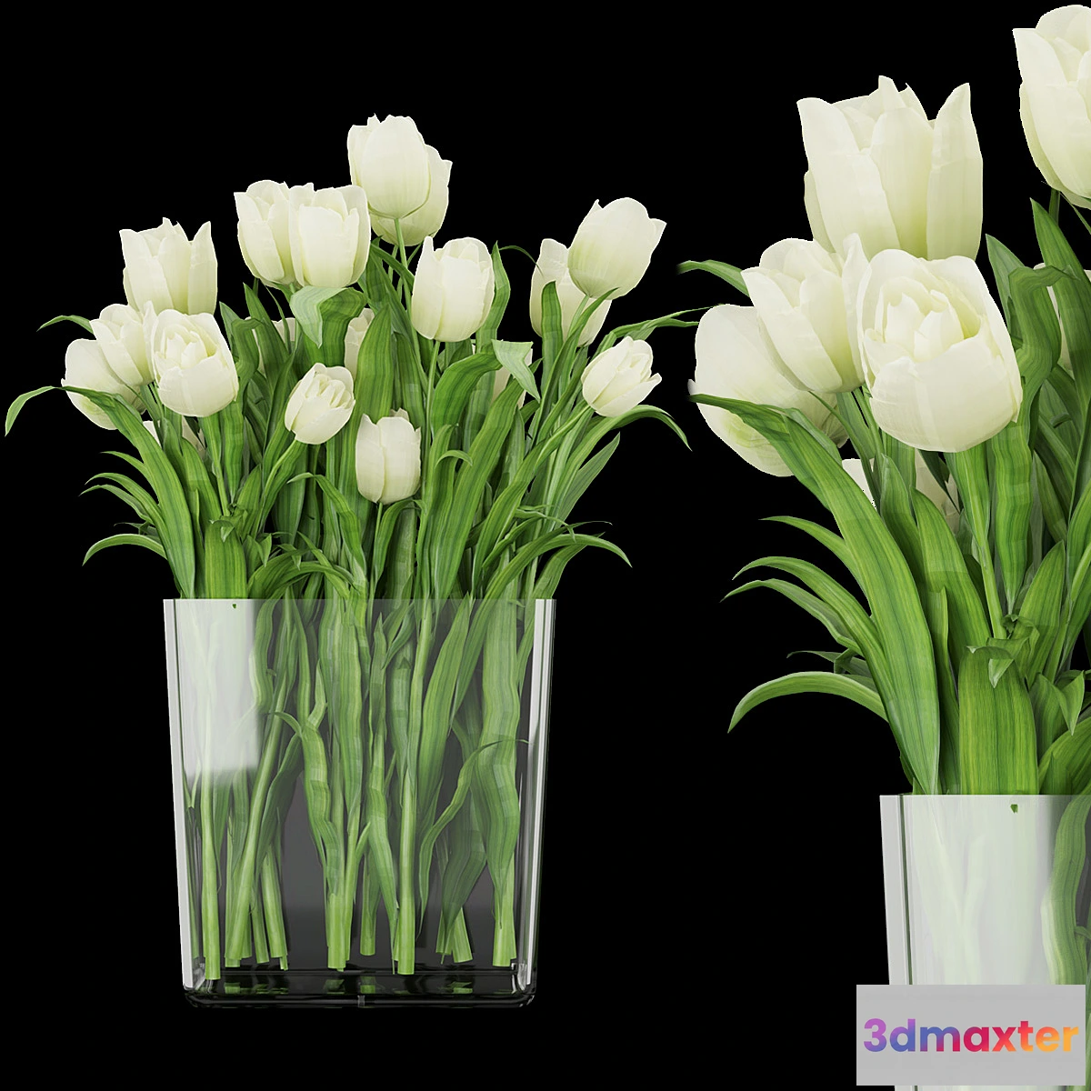 1469632 - Collection plant vol 119 3D Max