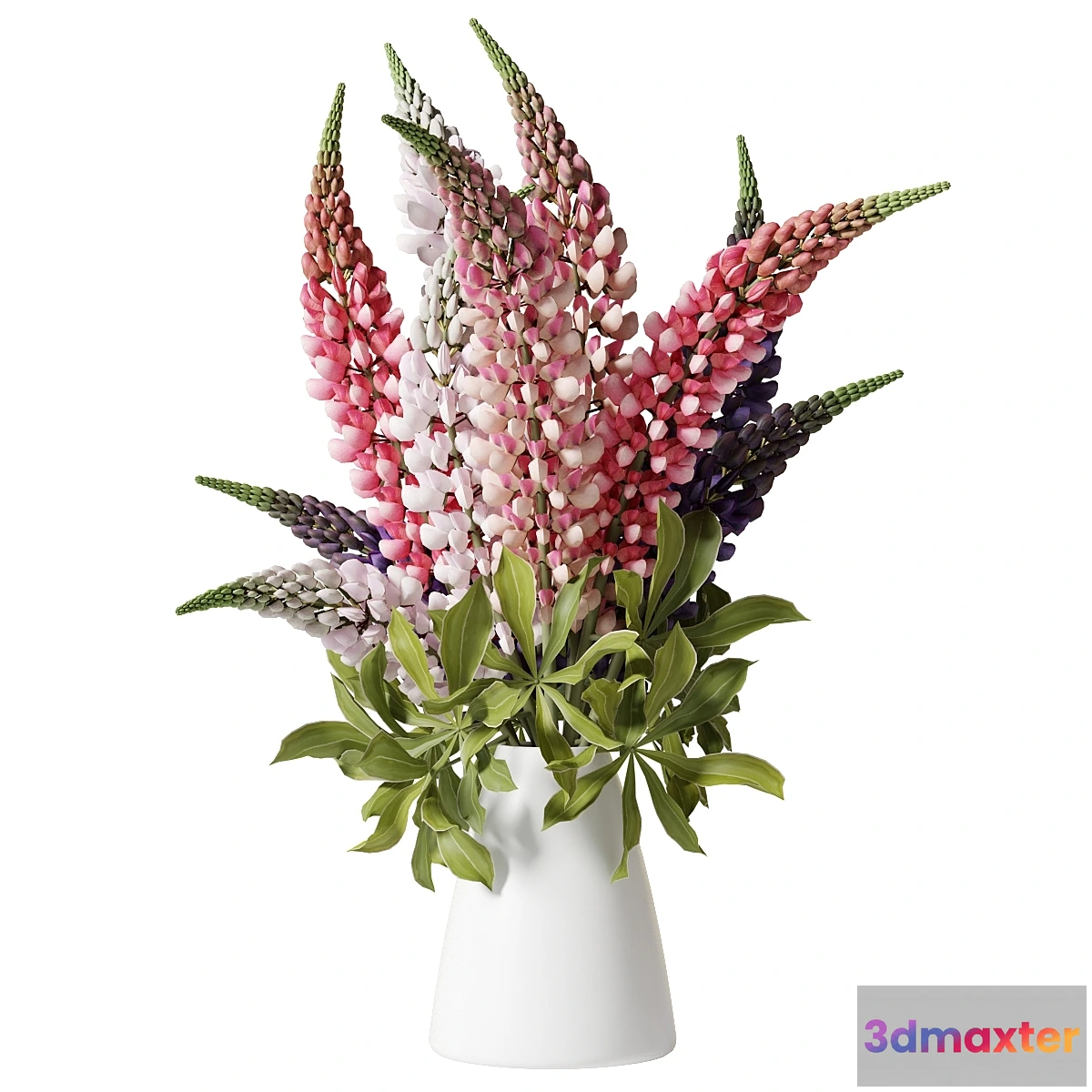 1471248 - Bouquet with lupins 3D Max