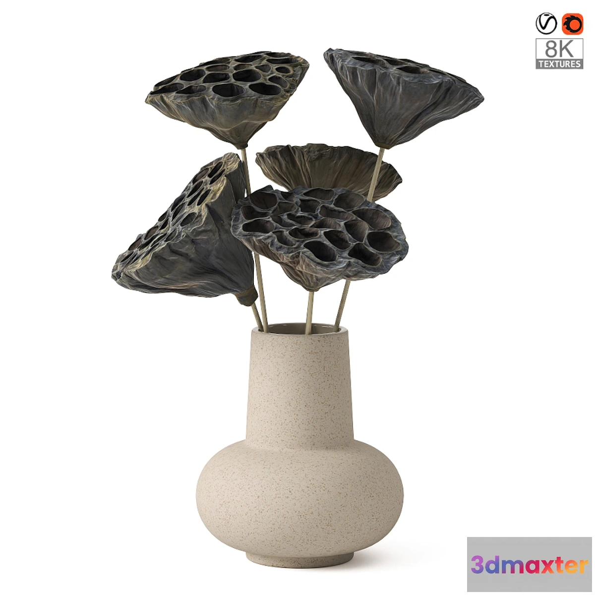 1476100 - Vases with dried plant 3D Max