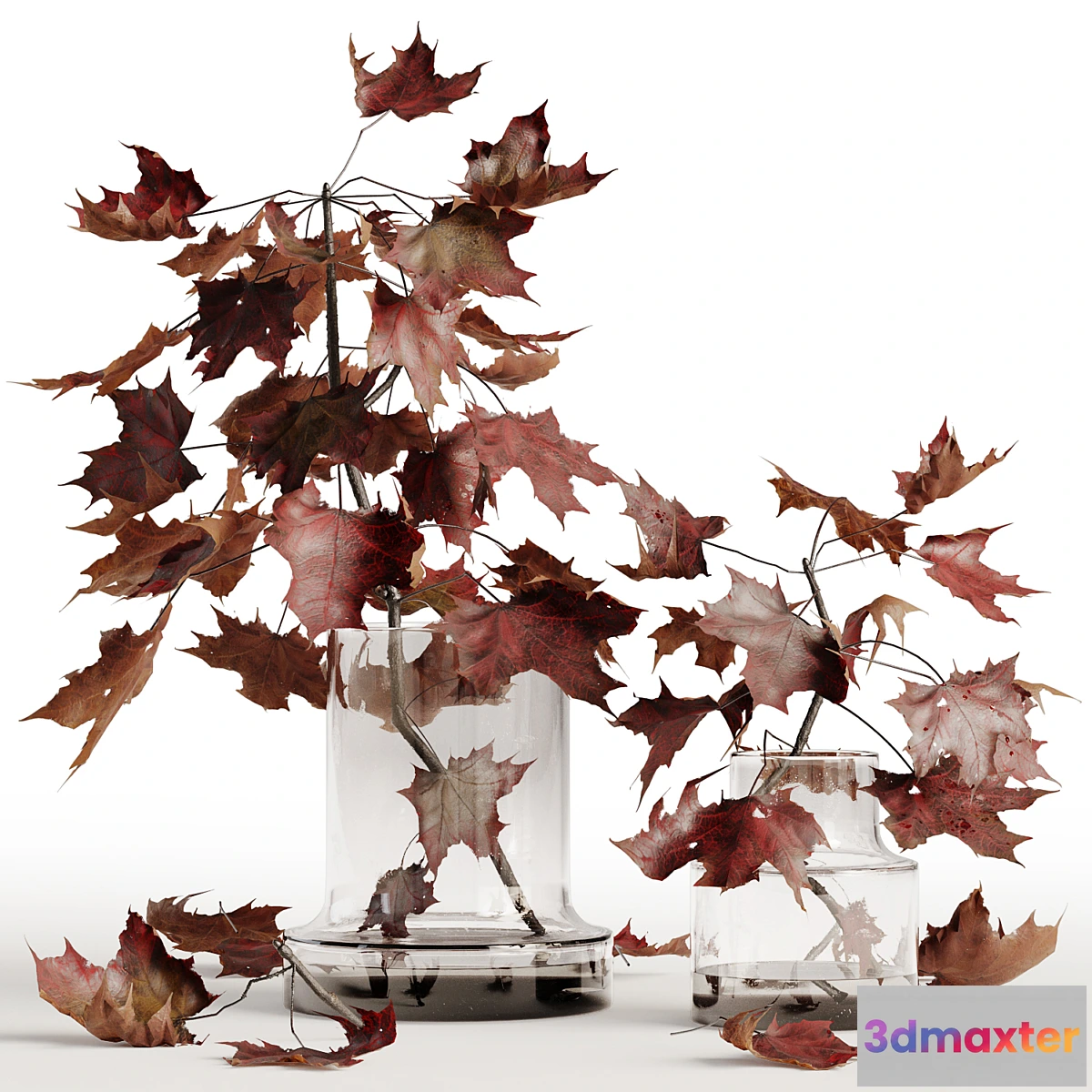 1477210 - Maple branches in a glass vase 3D Max