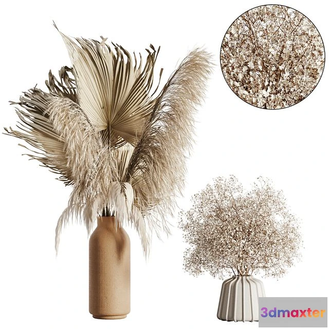 1538560 - Pampas set 04 3D Max