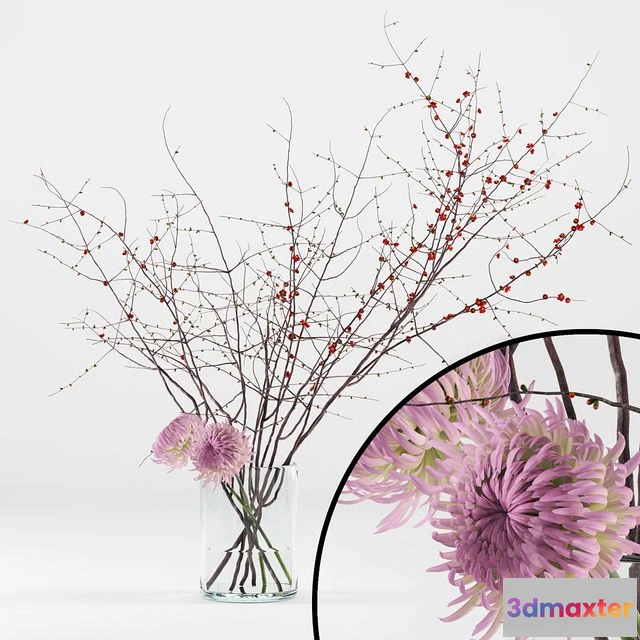 1538728 - Prunus branches and chrysanthemums 3D Max