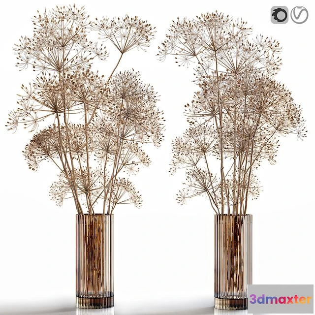 1539124 - Dry Flowers 7 Heracleum 3D Max