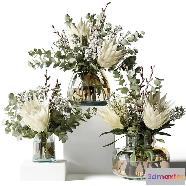 1540435 - Bouquet with proteas and eucalyptus 3D Max