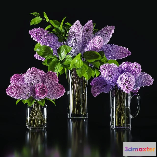 1540637 - Flower Set 004 3D Max