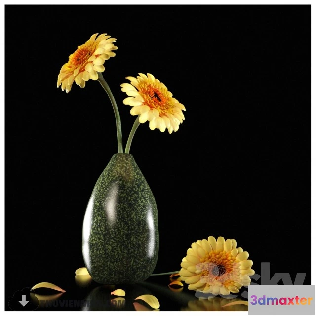 1543589 - YELLOW DEW GERBERA 3D Max