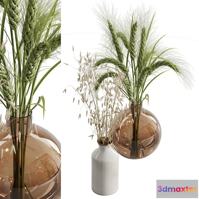 1545778 - Dry plant set 02 3D Max