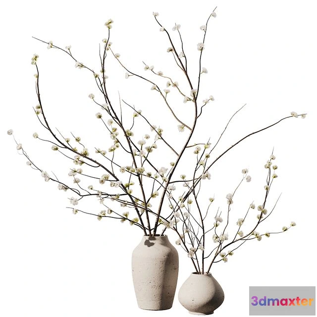 1548737 - Dry Flower Branche Bouquet2 3D Max
