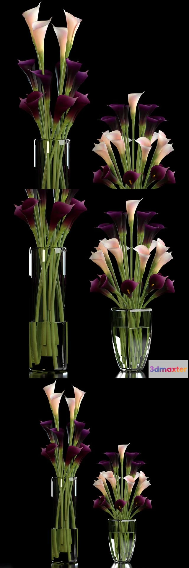 1549421 - CALLA LILLY PURPLE 3D Max