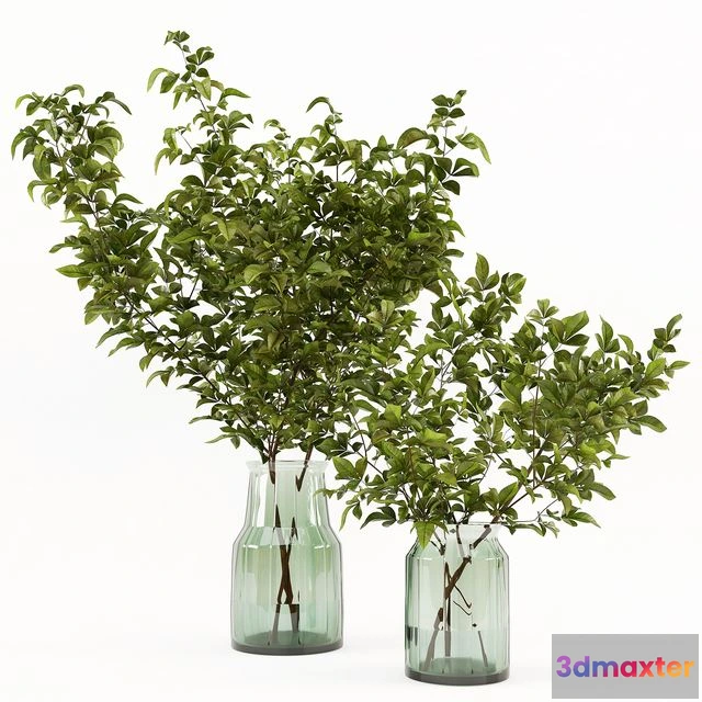 1549811 - Branches in the vase 002 3D Max