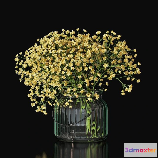 1550011 - Gypsophila 03 3D Max