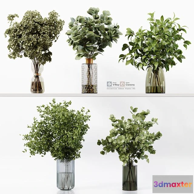 1550923 - Collection Indoor Plants 041 3D Max