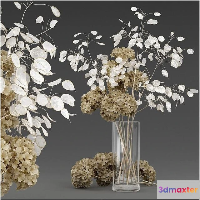 1551191 - Dried flowers 3D Max