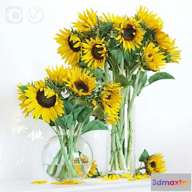 1552621 - Sunflower1 3D Max