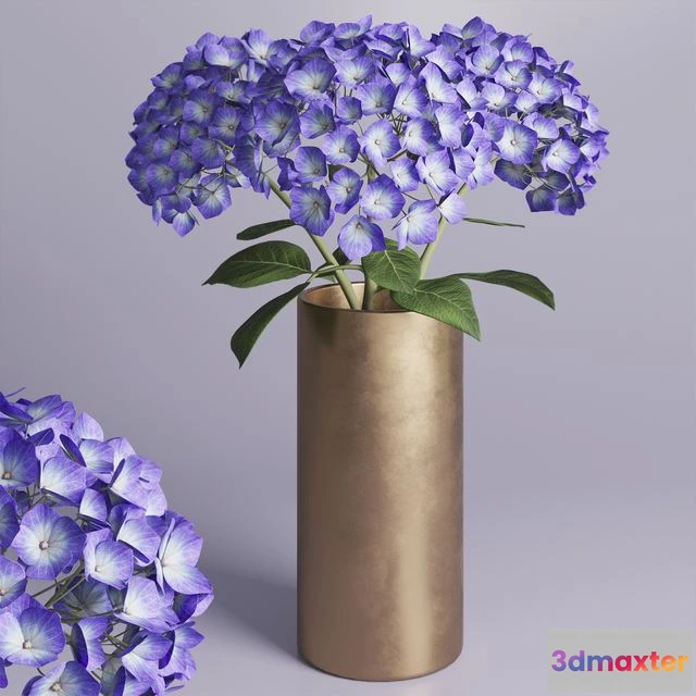 1553335 - Hydrangea branches in a vase_02 3D Max