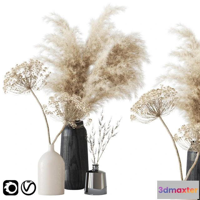 1555189 - Bouquet with dry composition 3D Max