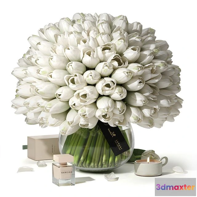 1556027 - Tulips Interflora Luxury Collection 3D Max