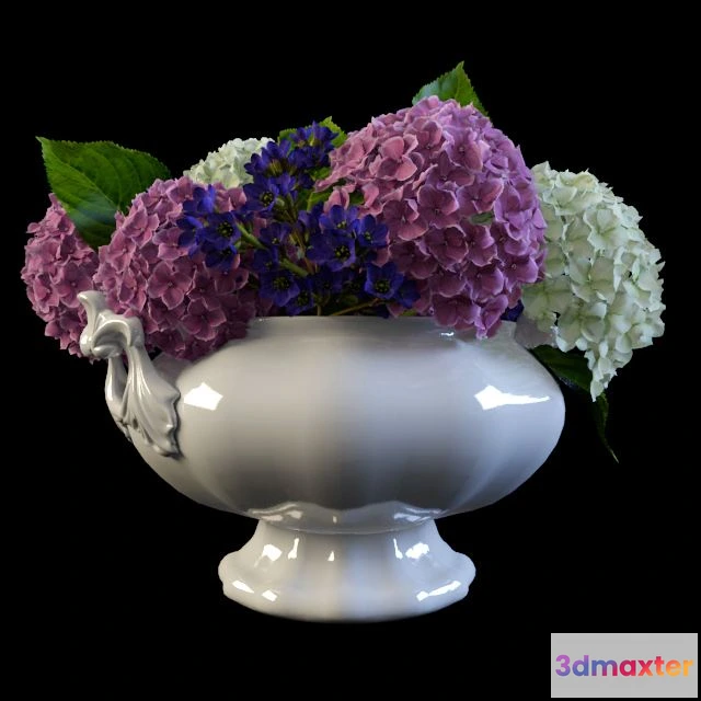 1557379 - Hydrangea in a vase 3D Max